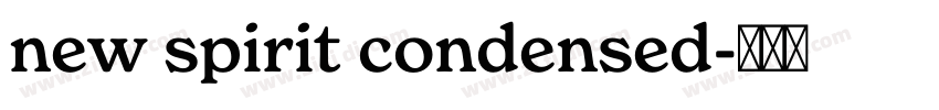 new spirit condensed字体转换 new spirit condensed字体转换